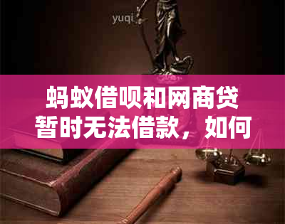 蚂蚁借呗和网商贷暂时无法借款，如何解决？