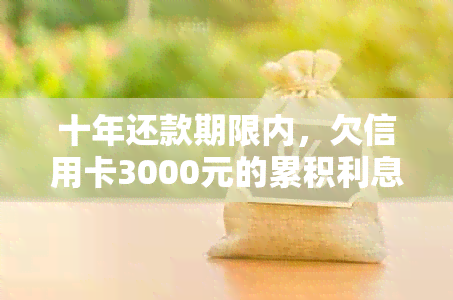 十年还款期限内，欠信用卡3000元的累积利息与可能的惩罚