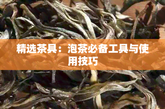 精选茶具：泡茶必备工具与使用技巧