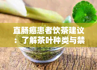 直肠癌患者饮茶建议：了解茶叶种类与禁忌，如何选择适合自己的茶品