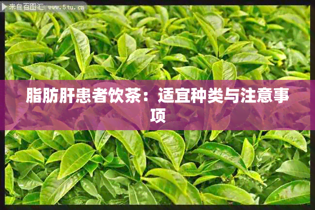 脂肪肝患者饮茶：适宜种类与注意事项