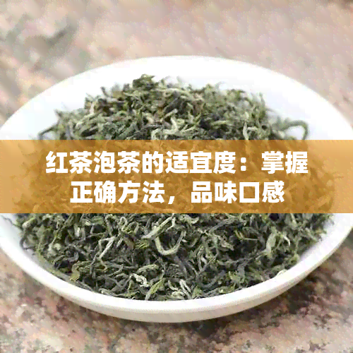 红茶泡茶的适宜度：掌握正确方法，品味口感