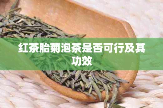 红茶胎菊泡茶是否可行及其功效