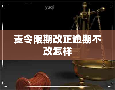 责令限期改正逾期不改怎样