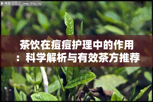 茶饮在痘痘护理中的作用：科学解析与有效茶方推荐