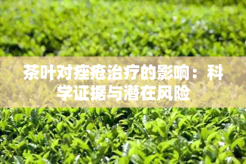 茶叶对痤疮治疗的影响：科学证据与潜在风险