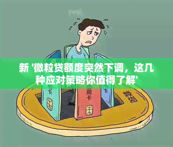 新 '微粒贷额度突然下调，这几种应对策略你值得了解'