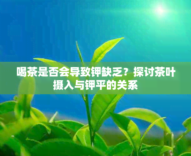 喝茶是否会导致钾缺乏？探讨茶叶摄入与钾平的关系