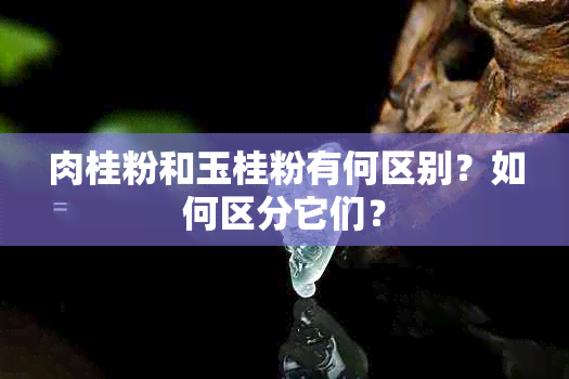 肉桂粉和玉桂粉有何区别？如何区分它们？