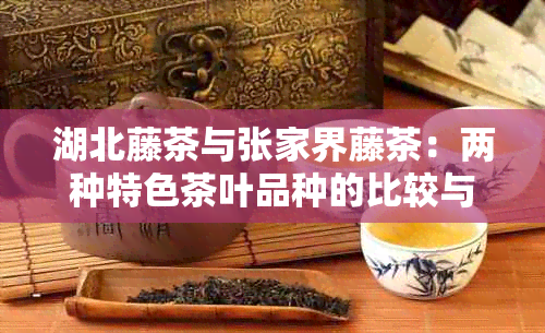 湖北藤茶与张家界藤茶：两种特色茶叶品种的比较与鉴