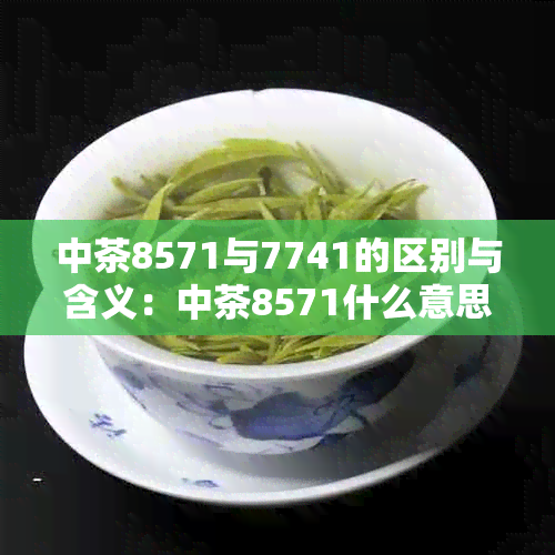 中茶8571与7741的区别与含义：中茶8571什么意思？