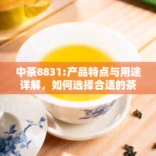 中茶8831:产品特点与用途详解，如何选择合适的茶叶？