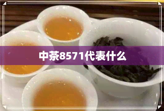 中茶8571代表什么