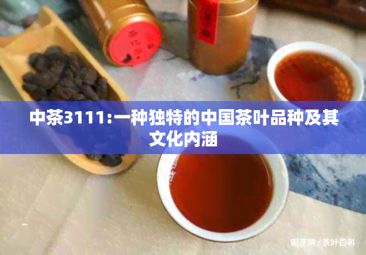 中茶3111:一种独特的中国茶叶品种及其文化内涵