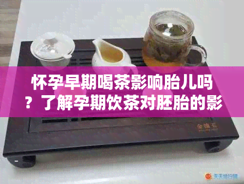 怀孕早期喝茶影响胎儿吗？了解孕期饮茶对胚胎的影响