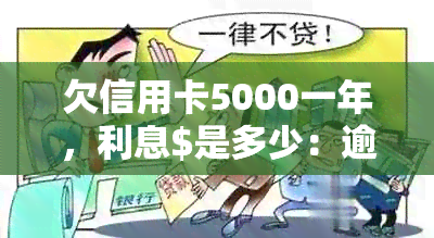 欠信用卡5000一年，利息$是多少：逾期五年还款总额及逾期一年利息计算