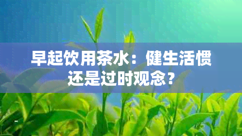 早起饮用茶水：健生活惯还是过时观念？