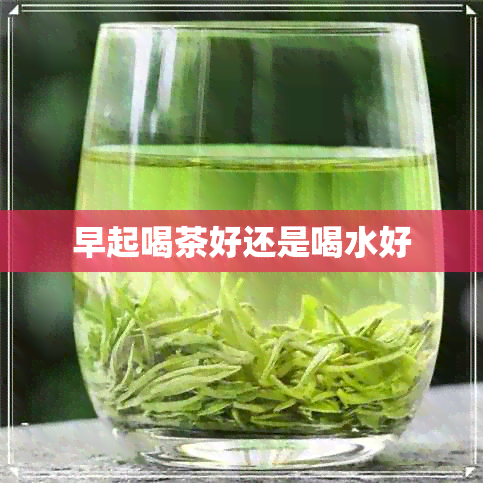 早起喝茶好还是喝水好