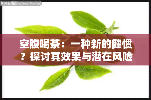 空腹喝茶：一种新的健惯？探讨其效果与潜在风险