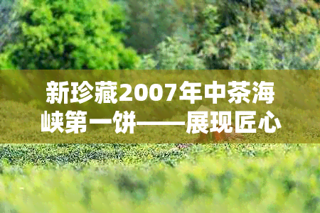 新珍藏2007年中茶海峡之一饼——展现匠心与品质的稀有生茶