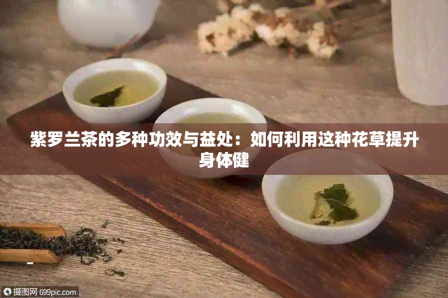 紫罗兰茶的多种功效与益处：如何利用这种花草提升身体健