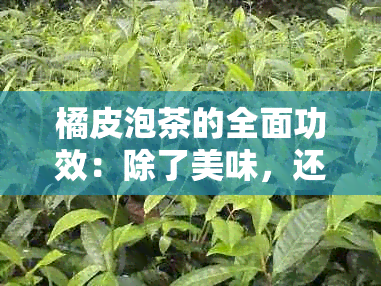 橘皮泡茶的全面功效：除了美味，还有哪些健益处？