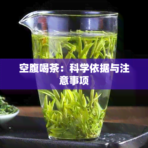 空腹喝茶：科学依据与注意事项