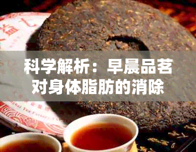 科学解析：早晨品茗对身体脂肪的消除效果如何？