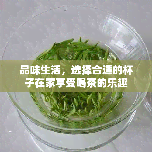 品味生活，选择合适的杯子在家享受喝茶的乐趣