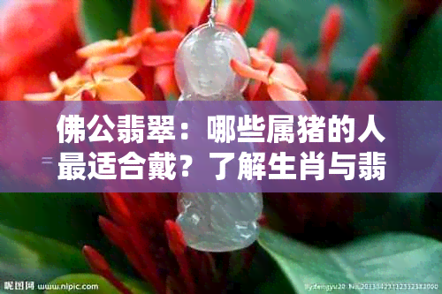 佛公翡翠：哪些属猪的人最适合戴？了解生肖与翡翠的搭配关系