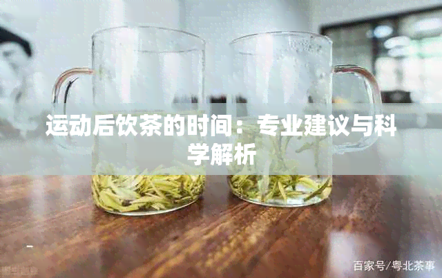 运动后饮茶的时间：专业建议与科学解析