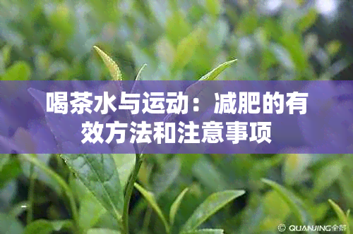 喝茶水与运动：减肥的有效方法和注意事项