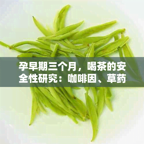 孕早期三个月，喝茶的安全性研究： *** 、草和茶叶的影响分析