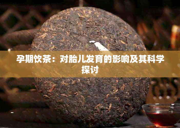 孕期饮茶：对胎儿发育的影响及其科学探讨