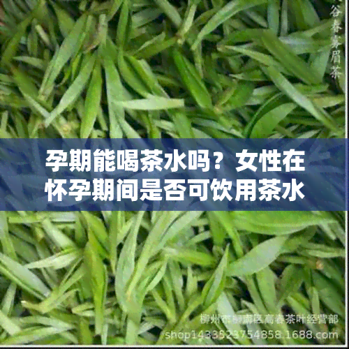 孕期能喝茶水吗？女性在怀孕期间是否可饮用茶水？