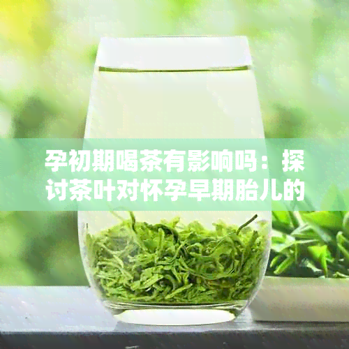 孕初期喝茶有影响吗：探讨茶叶对怀孕早期胎儿的影响