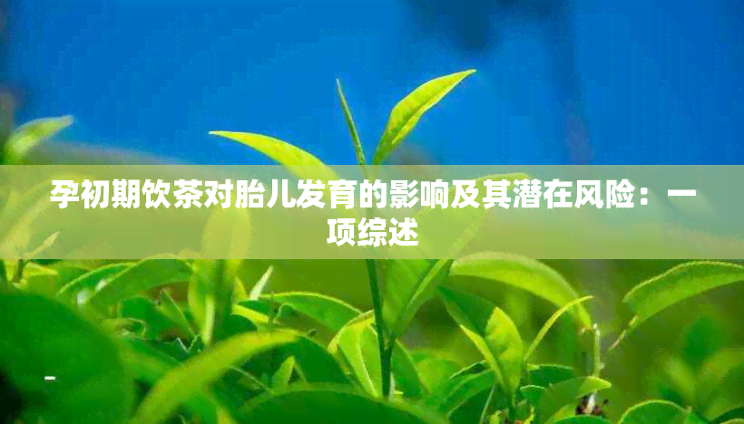 孕初期饮茶对胎儿发育的影响及其潜在风险：一项综述