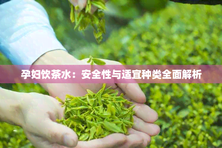 孕妇饮茶水：安全性与适宜种类全面解析