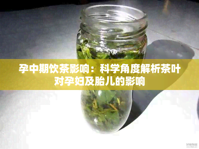 孕中期饮茶影响：科学角度解析茶叶对孕妇及胎儿的影响