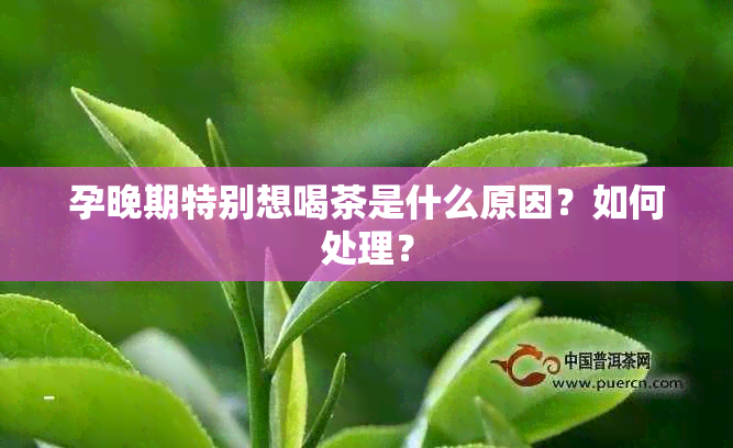 孕晚期特别想喝茶是什么原因？如何处理？