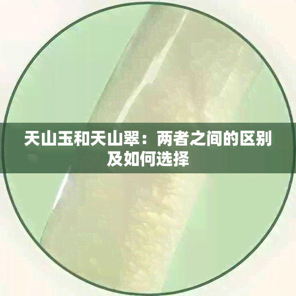 天山玉和天山翠：两者之间的区别及如何选择