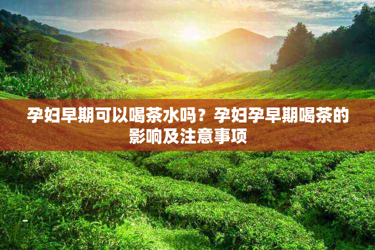 孕妇早期可以喝茶水吗？孕妇孕早期喝茶的影响及注意事项