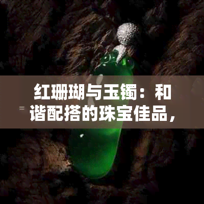 红珊瑚与玉镯：和谐配搭的珠宝佳品，女性优雅之选