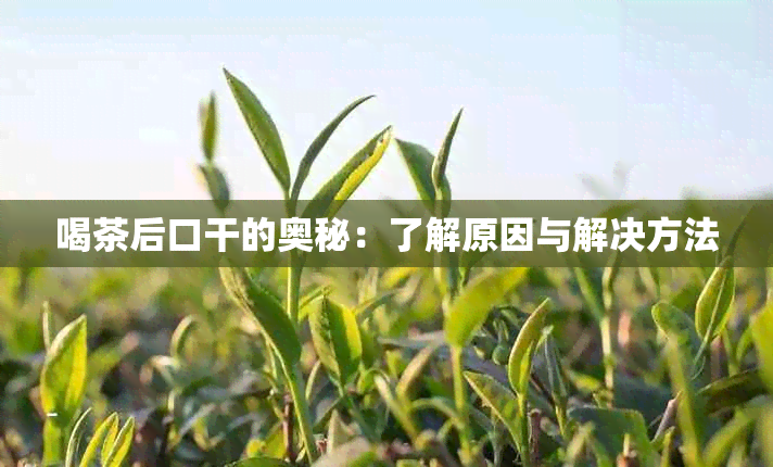 喝茶后口干的奥秘：了解原因与解决方法