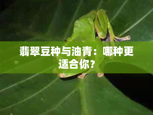 翡翠豆种与油青：哪种更适合你？