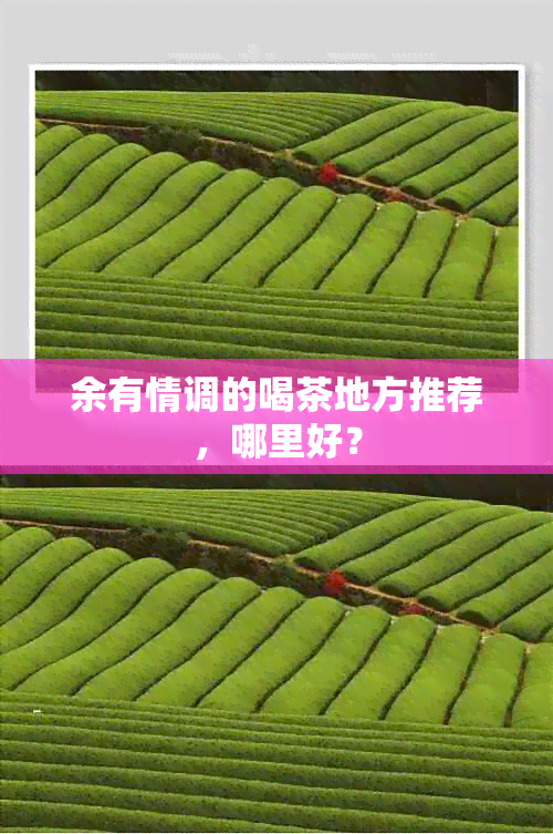 余有情调的喝茶地方推荐，哪里好？