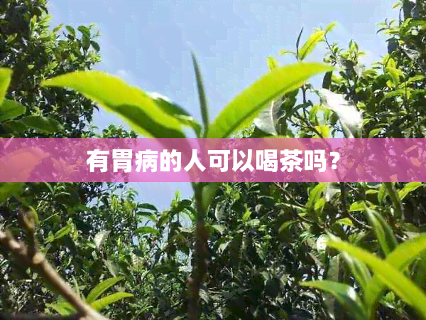 有胃病的人可以喝茶吗？