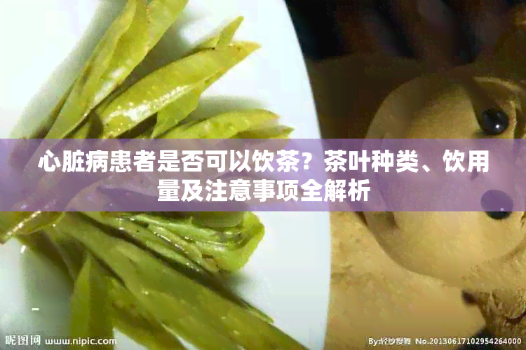 心脏病患者是否可以饮茶？茶叶种类、饮用量及注意事项全解析