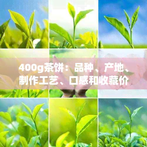 400g茶饼：品种、产地、制作工艺、口感和收藏价值全方位解析