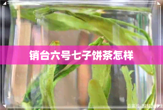 销台六号七子饼茶怎样